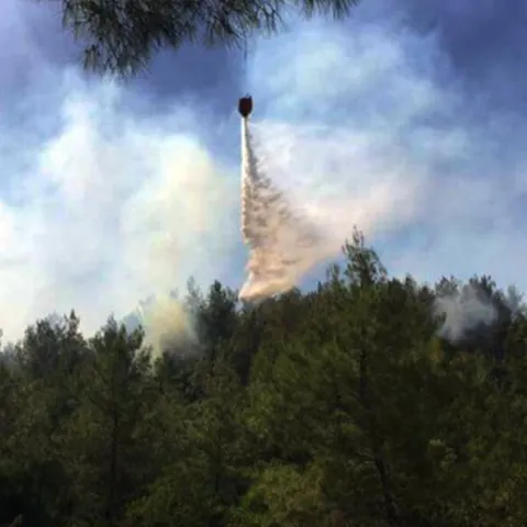 Forest Fire Prevention & Monitoring